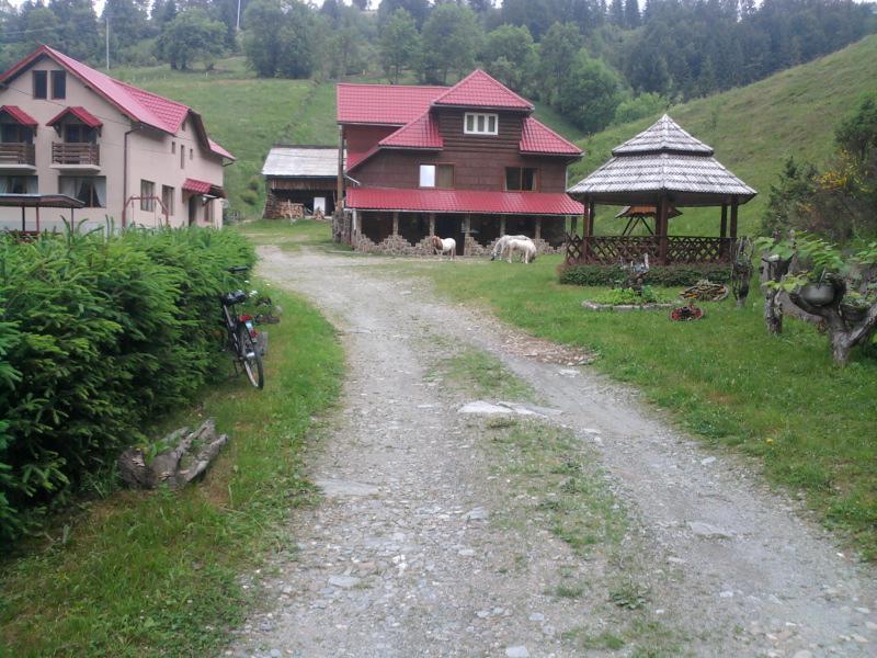 Pensiunea Sofy Arieşeni Buitenkant foto