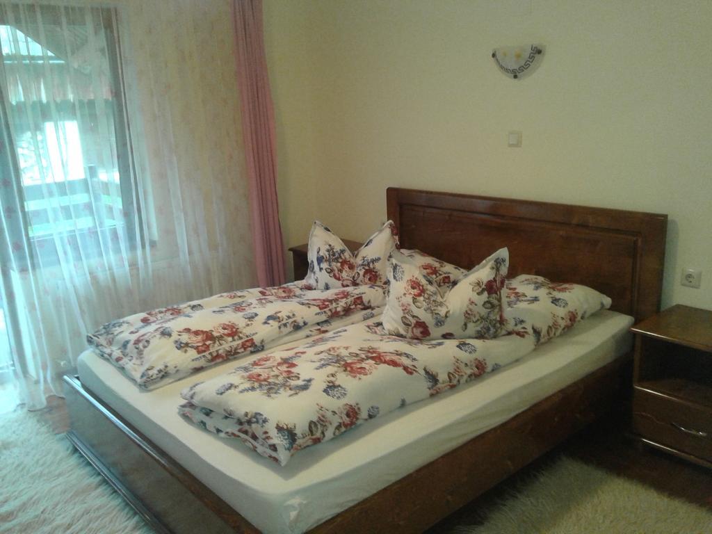 Pensiunea Sofy Arieşeni Buitenkant foto