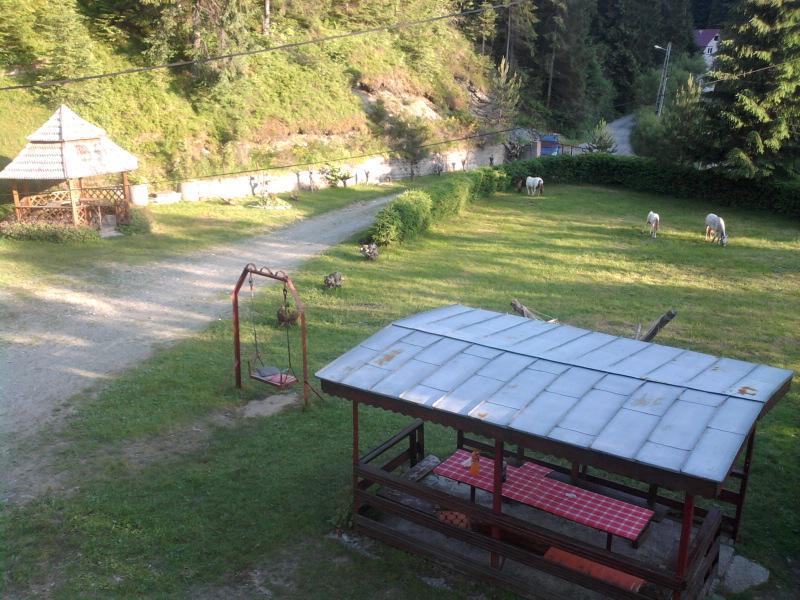 Pensiunea Sofy Arieşeni Buitenkant foto